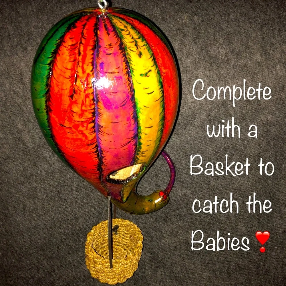 ❣️ CREATIVE IDEA for Gourds that DON’T SIT ❣️
Make a HOT AIR BALLOON BIRDHOUSE - Picture 2 of 5
